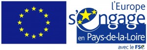 Logo FSE(PDL)